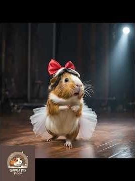 Guinea Pig Sia in Chandelier.