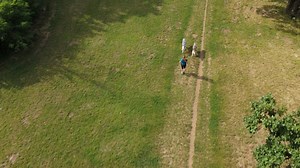 Canicross, Dogs, Run. Free Stock Video