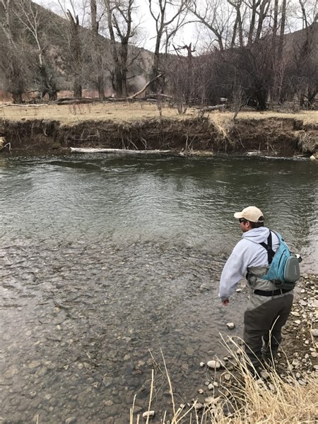 Salomone: Pieces of the river — riffle, run and pool