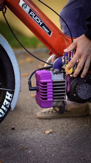 76K views · 16K reactions | Puch Maxi G - G steht für Gönnen 磻 #gönrgy #puchmaxi #mofa #moped #mofawerkriders | Ribens / Puch Maxi | Facebook