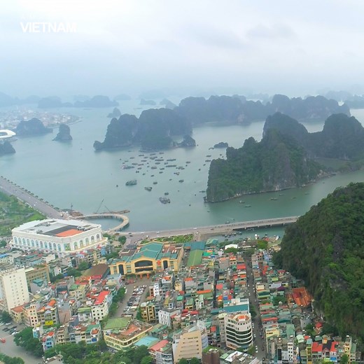 Must-visit Places in Quang Ninh 😍 | Amazing Vietnam