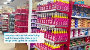 Sneak Preview of Ulladulla 's Silly Sollys