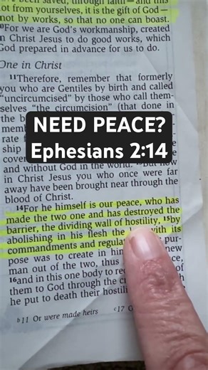 #jesus #booktok #shortsfeed #scripture #biblepassage