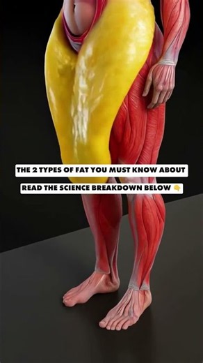 The 2 types of fat you must know about