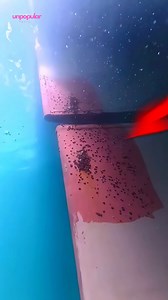 This ship is in BIG trouble 😱#ViralContent #ReelVibes | unpopular fact