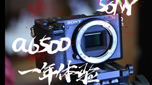 3500元难有敌手？索尼8年前的旗舰-α6500一年上手体验（补档）