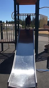 K-9 trainee Ryder working agility and obedience. | Mason County Sheriff's Office