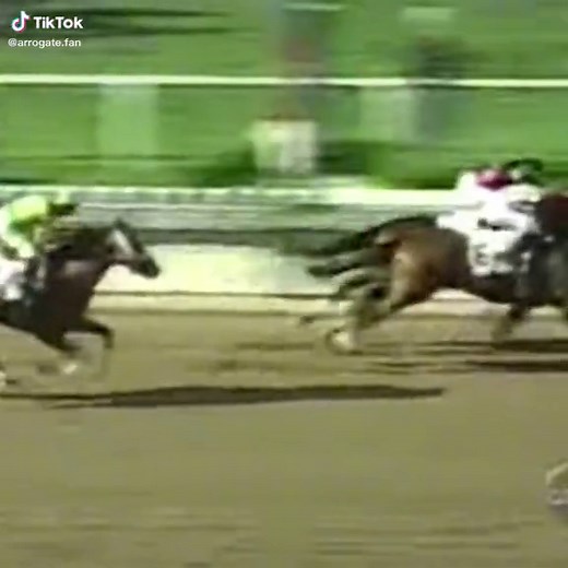 Fortunately, thanks to Chris Antley's prompt intervention, the injury did not worsen and Charismatyk lived for another 24 years #horse #racehorses #charismatic