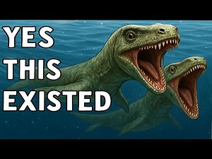 The Rarest Of The Rarest Fossils Ever Discovered