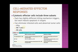 Effector Responses (Part 2): Cell-Mediated Immunity from Kuby Immunology Chapter 13