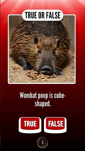 100 Mind-Blowing TRUE or FALSE Questions You Won’t Believe! | Ultimate Quiz Challenge