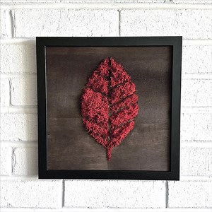 Framed Preserved Moss Wall Art: Scarlet Walnut Leaf Decor - Etsy