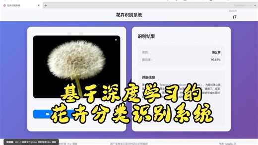 花卉分类识别系统web运行演示-深度学习CNN算法-python-web界面UI-带数据集-包配置售后