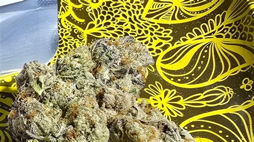 Will Florida legalize recreational marijuana in 2026? What's in the way