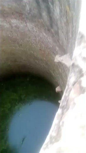 कुवा #farming #basic #agriculture mini block khai khatarnak