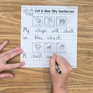 2.3K views | Digraph Silly Sentences, a decodable writing center for...