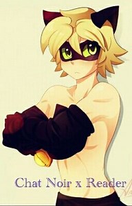 The Not So Purrfect Kitty   (Chat Noir x Reader) - Chapter 13