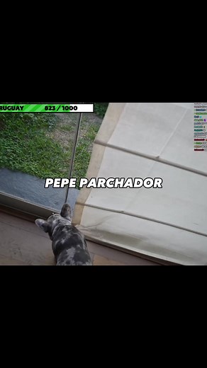 369K views · 16K reactions | JJAJJA APRENDIO DE TITO #cristorata7 #pepe #zullycs #kingleon | Adokinclips | Facebook