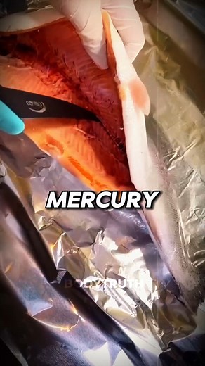Want to eat fish the smart way? 🐟 Different fish offer different health benefits. Salmon is packed with omega-3s for heart and brain health, tuna fuels muscle growth, sardines boost brain function, mackerel supports your heart, trout is low in mercury, and herring is loaded with vitamin D. Choose the right fish to optimize your health naturally! #HealthyEating #NutritionTips #FishBenefits | BodyTruth