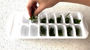 How to freeze herbs for later | Healthy Living with Megan Evans