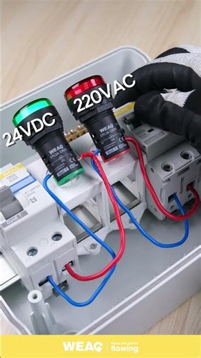 How to Connect 24VDC and 220VAC Led Indicator （Indicator Light） to a Switch.