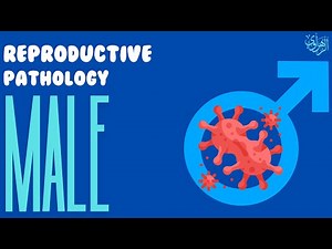 Reproductive System Pathology: Male