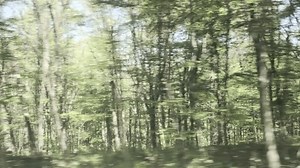 View Moving Train Window Background Transit Stock Footage Video (100% Royalty-free) 3563696527 | Shutterstock