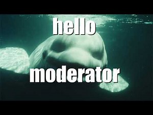 hello moderator 20
