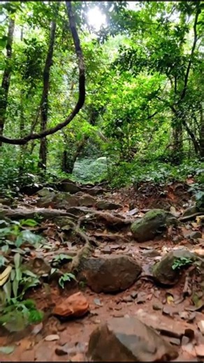 Inside kumara paruvatha #budgettravel #travel #indianexplorers #travelhacks #love #indiatravel