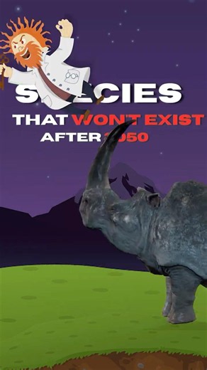 These Animals Might Not Exist by 2050 😢