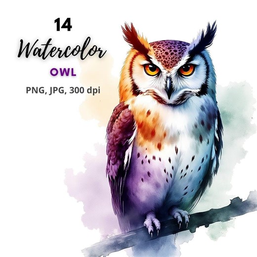 Watercolor Owl Clip Art, Flying Owl, Printable Owl, Owl Illustration, Owl Sublimation, 14 JPG/PNG, Digital Download - Etsy