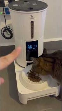 Honest Review of Automatic Pet Feeder with 3 Cats