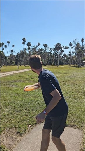 Short ace run with the M2! Chained out! #discgolf #sports #ace