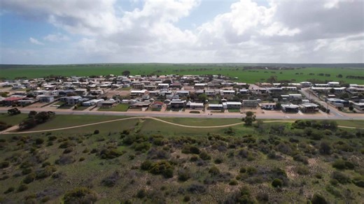 Toxic algal bloom causes tourism downturn in South Australian coastal communities