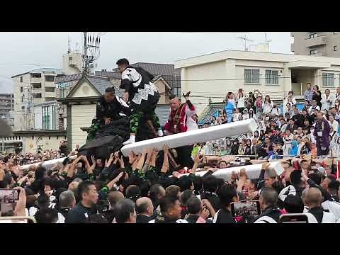 【喧嘩】【乱闘】かき棒が折れる程の大喧嘩！松山秋祭り2024道後本宮 道後村大神輿 vs 小唐人大神輿 道後鉢合わせ喧嘩神輿