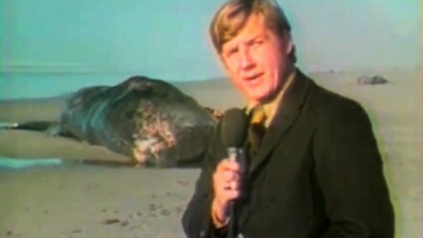 Watch video of Oregon's exploding whale