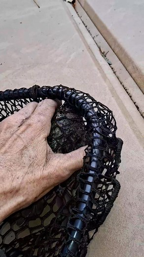 1.2K views · 36 reactions | Apparently there's a problem with the screen protector on our chimney cap. I heard some scratching, scrambling and crying when I walked past the woodstove...and this is who I found. | Bonnie Shipley Peele | Facebook