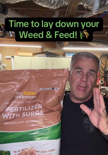 Andersons Surge Professional-Grade Weed & Feed 16-0-9. * Professional-grade, four-way weed and feed * Eliminates over 250 common weeds including dandelions, clover, chickweed, plantain and more. * Provides superior performance throughout entire growing season, even when applied in the cooler temperatures of spring and fall * Feeds to build thicker, greener lawns * Small particles for more coverage per square inch and superior performance * Not for use on Floratam St. Augustine grass, dichondra, 