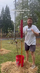 3.4M views · 1.2K reactions | Staking Trees In A Rainstorm #homestead #foilhatgang #homesteader #selfsufficient #orchard #fruittrees #hurricane | B&R Homestead | Facebook