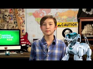 Robot Animals! | Nat Geo Kids Robots Playlist