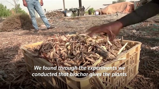 A UAE-based research center is experimenting with limiting carbon emissions and improving soil quality by using a technology that transforms green waste into a charcoal-like material called biochar. | Reuters