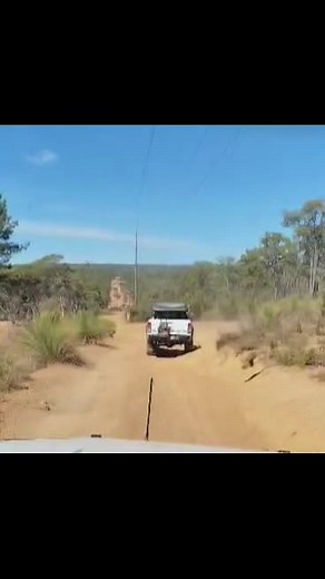 Rugged ranger on TikTok