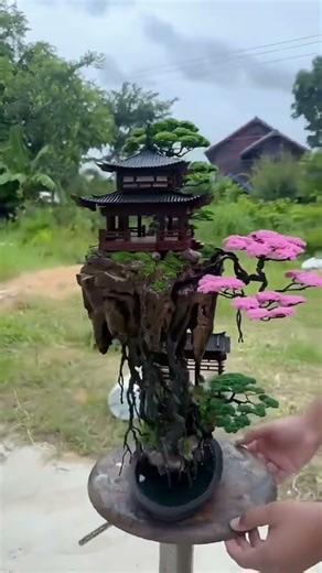 Canh dep #trending #bonsai #caycanh #xuhướng #nghethuat