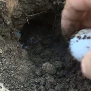 1.8K views · 78 reactions | People often ask me, “how do you know if...