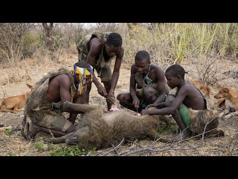 Hadzabe Tribe's Primitive Hunting and Special Feast in Middle of Africa | Discover African Hunters
