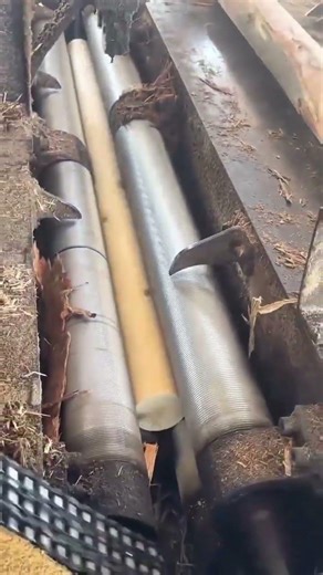 Wood Debarking Machine Removing Bark for Smooth Furniture Wood