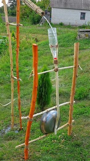 Celebrating Charlie Chaplin: The Silent Film Legend