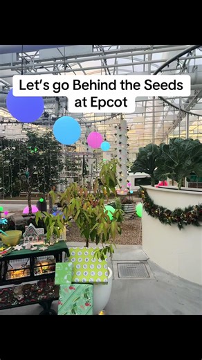 Highlight of this trip for sure! Our tour guide, Greg, was awesome and so passionate about conservation. They had just turned on the Christmas lights right before our tour, and we rode Living with the Land right after when it had just gotten dark. Talk about magical! ✨