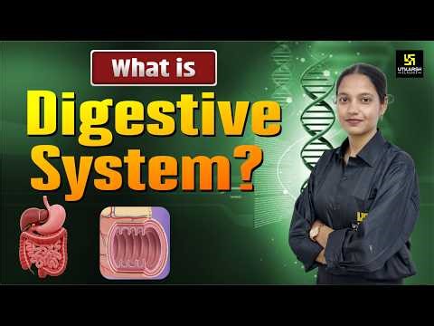 What is Digestive System? Organs, Functions & Process | BSc Nursing Utkarsh | Anjali Ma'am