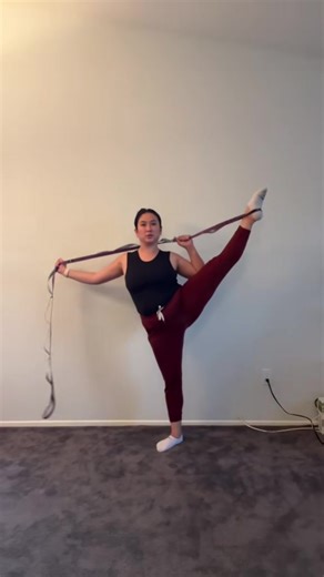 TheBalletProfessor on TikTok